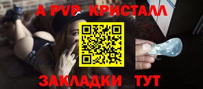 индика Новозыбков