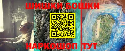 индика Новозыбков