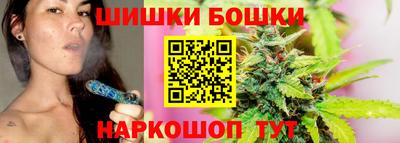 индика Новозыбков