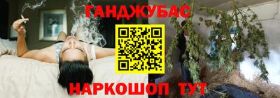 индика Новозыбков