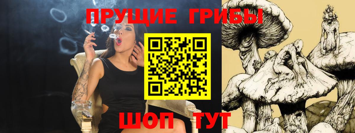 Галлюциногенные грибы Magic Shrooms Урай
